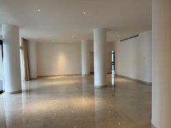 The Colonnade (D10), Condominium #529285211